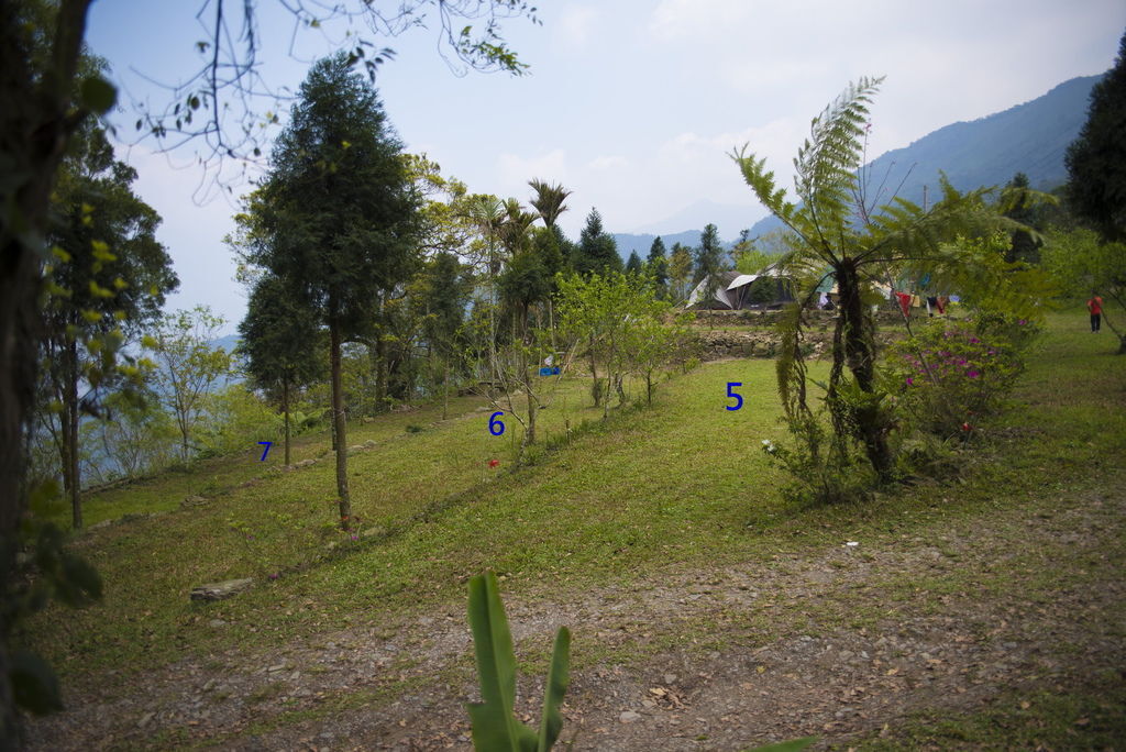 DSC_9661-.jpg DSC_9661-.jpg