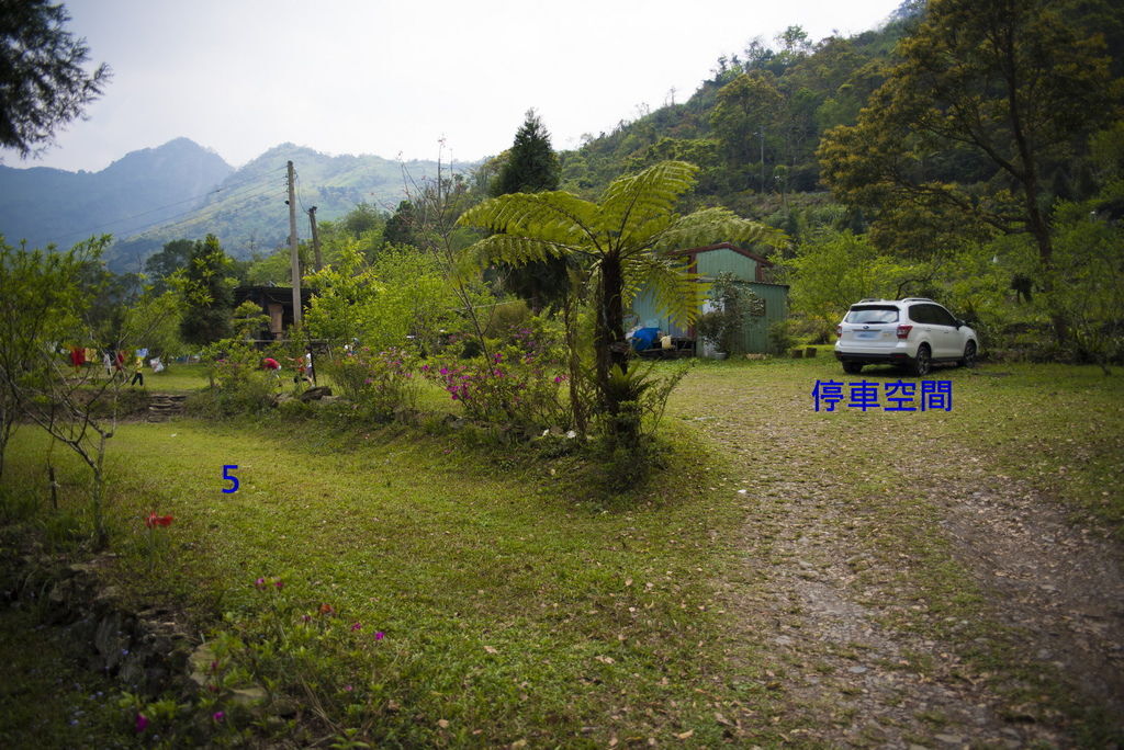 DSC_9666-.jpg DSC_9666-.jpg
