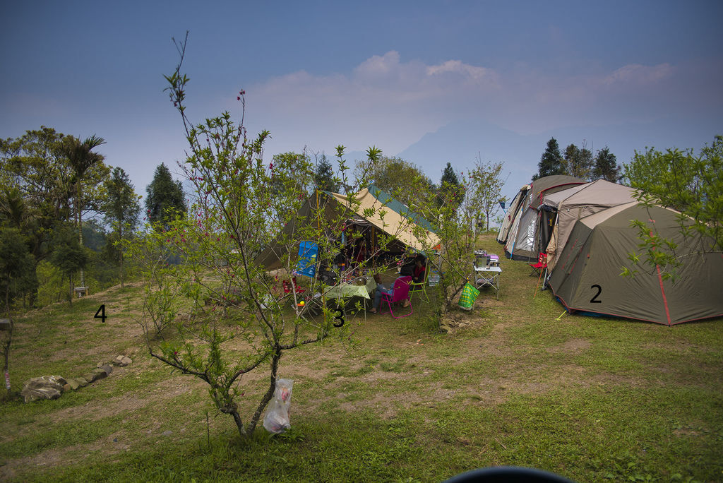 DSC_9672----.jpg DSC_9672----.jpg