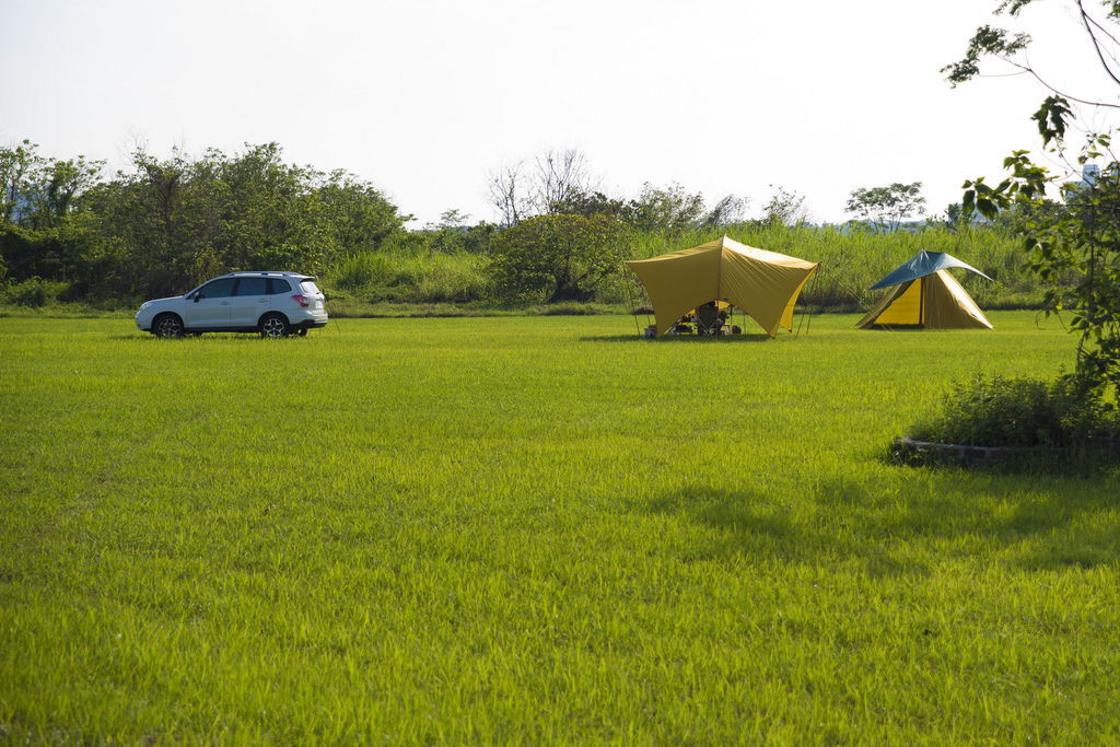 DSC_0470-.jpg DSC_0470-.jpg