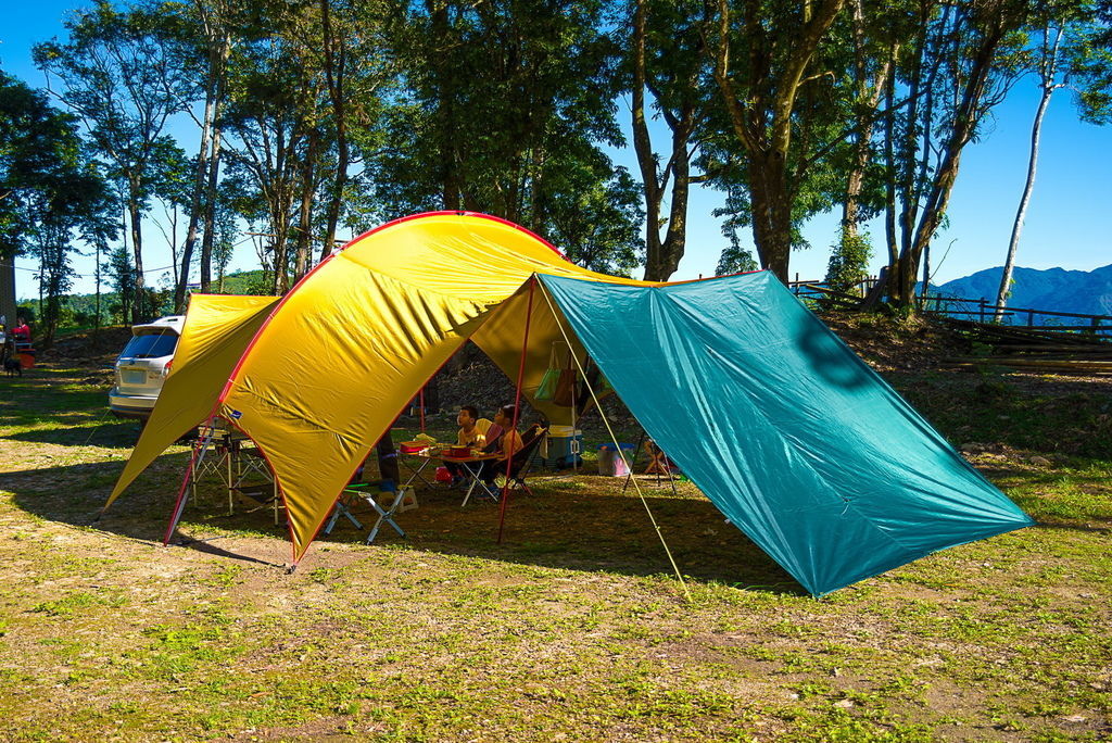 DSC_1613---.jpg DSC_1613---.jpg