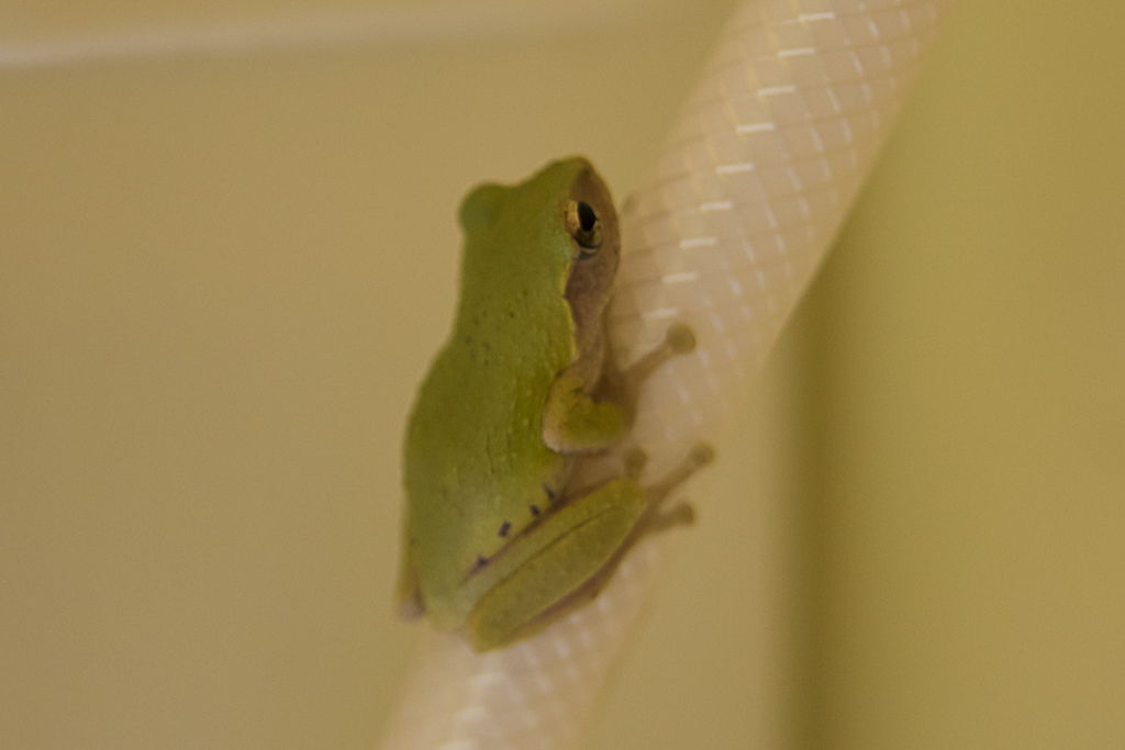 DSC_1724-.jpg DSC_1724-.jpg