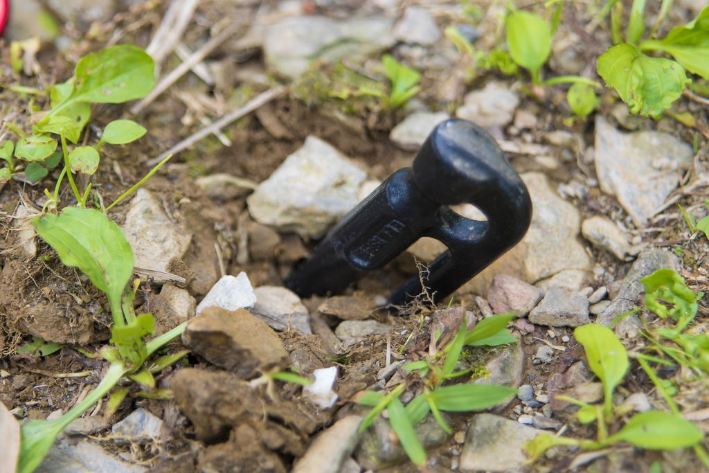 DSC_1342-.jpg DSC_1342-.jpg