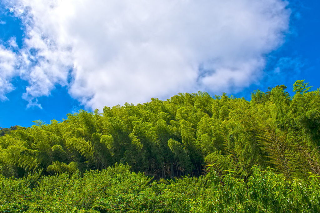 DSC_1684--.jpg DSC_1684--.jpg