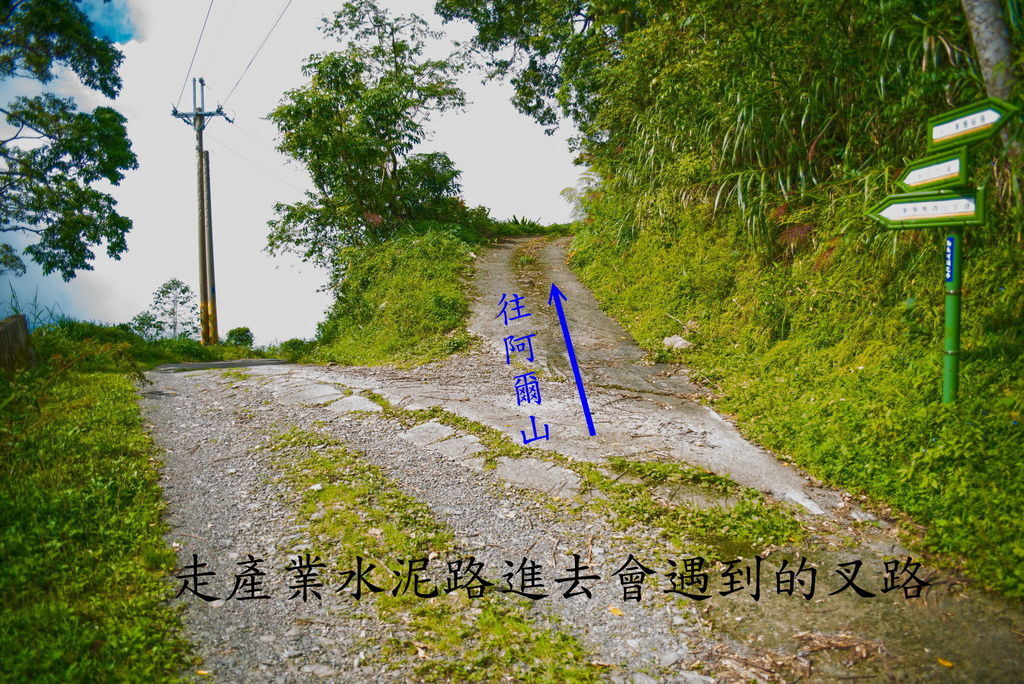 DSC_1738--.jpg DSC_1738--.jpg