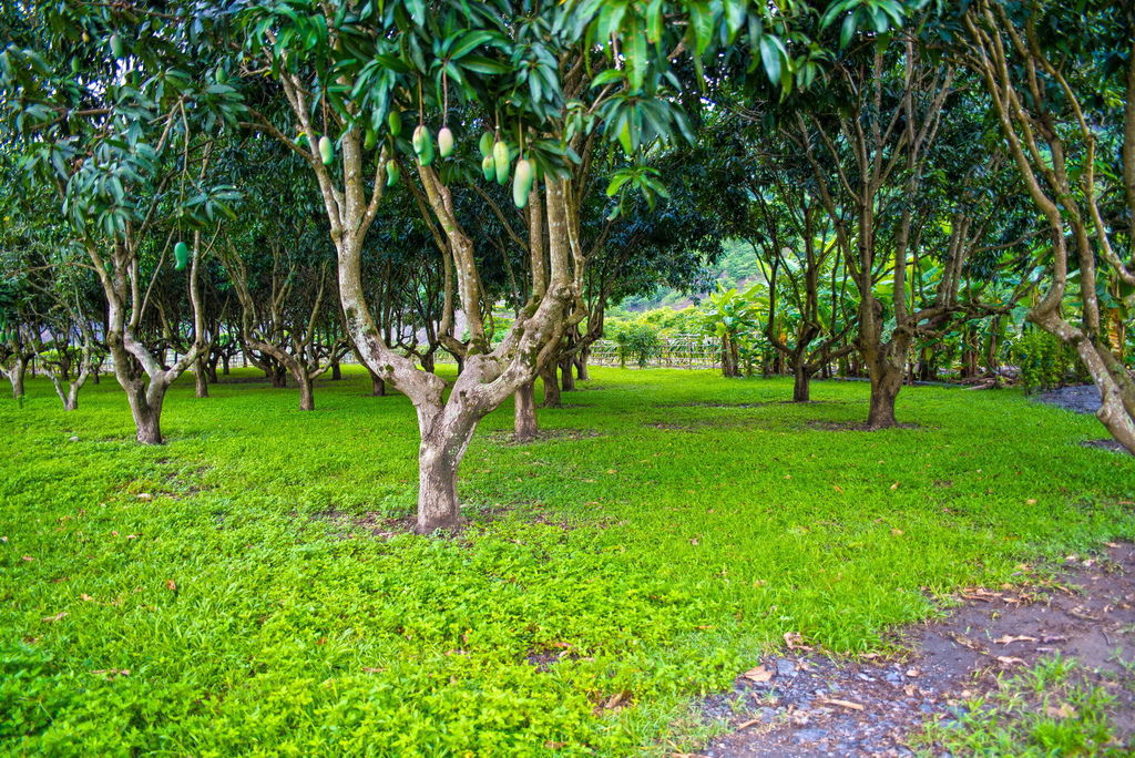DSC_1752--.jpg DSC_1752--.jpg