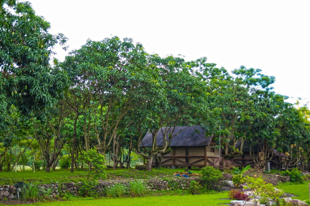 DSC_1753--.jpg DSC_1753--.jpg