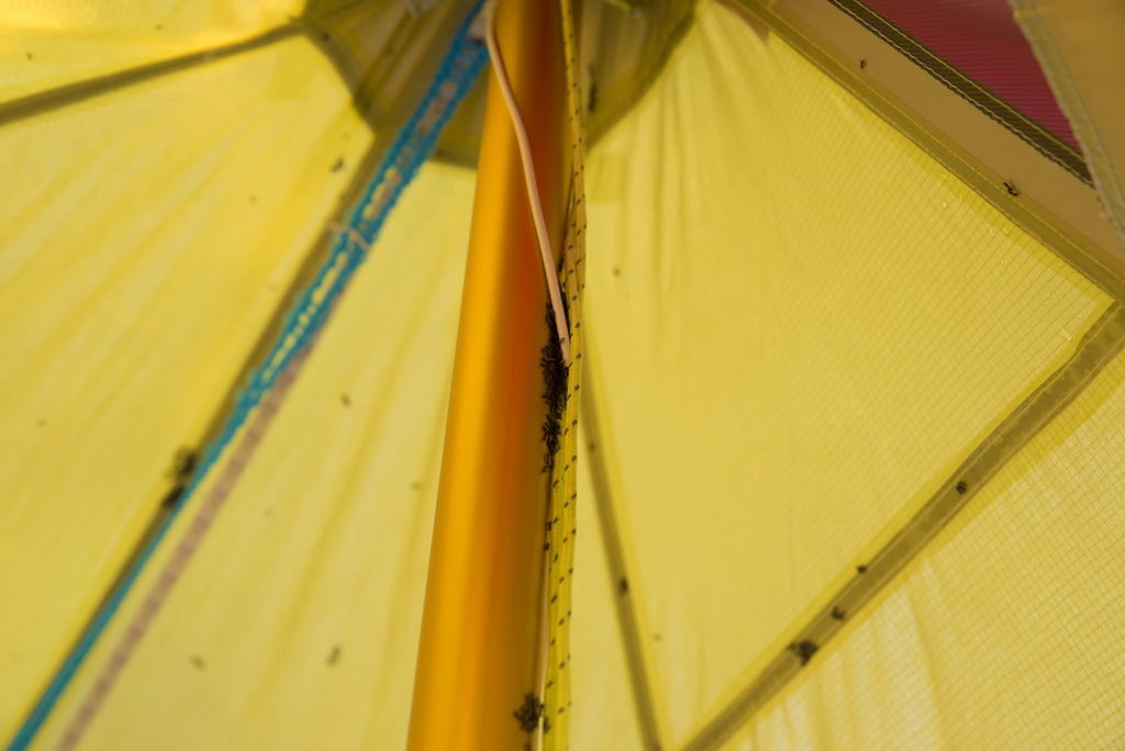 DSC_3270-.jpg DSC_3270-.jpg