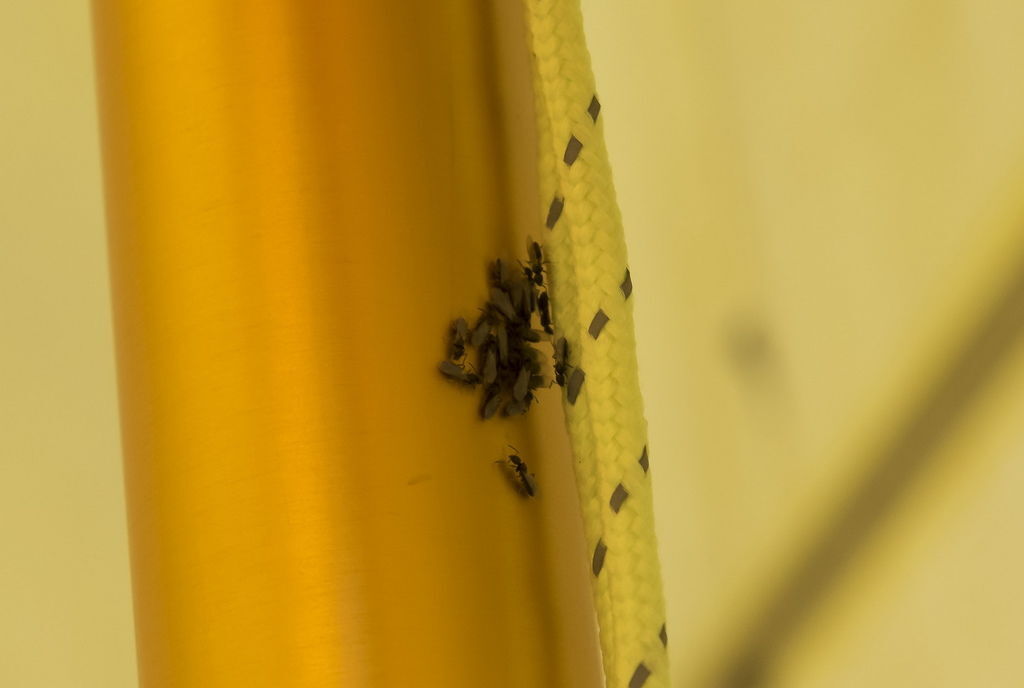 DSC_3271-.jpg DSC_3271-.jpg