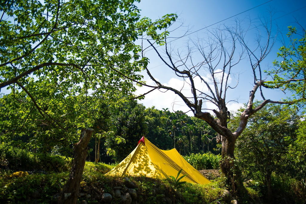 DSC_3286--.jpg DSC_3286--.jpg