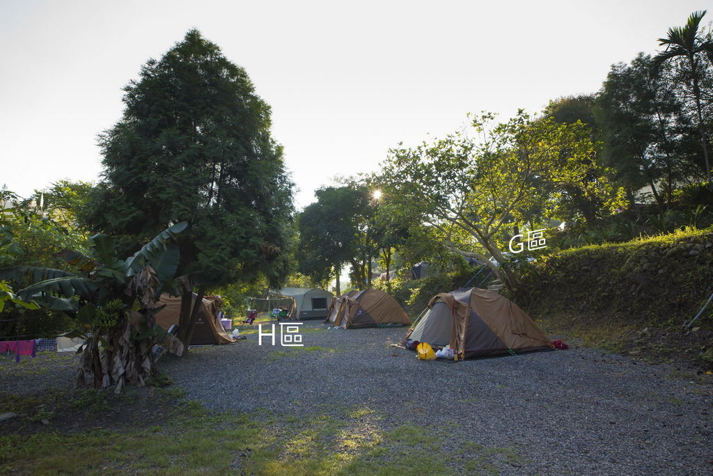 DSC_3259-.jpg DSC_3259-.jpg