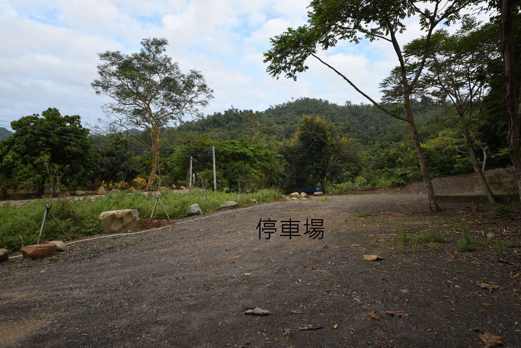 DSC_0367.JPG DSC_0367.JPG