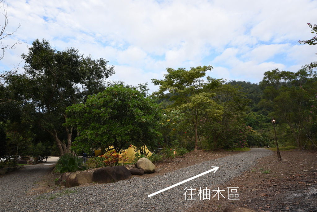 DSC_0369.JPG DSC_0369.JPG