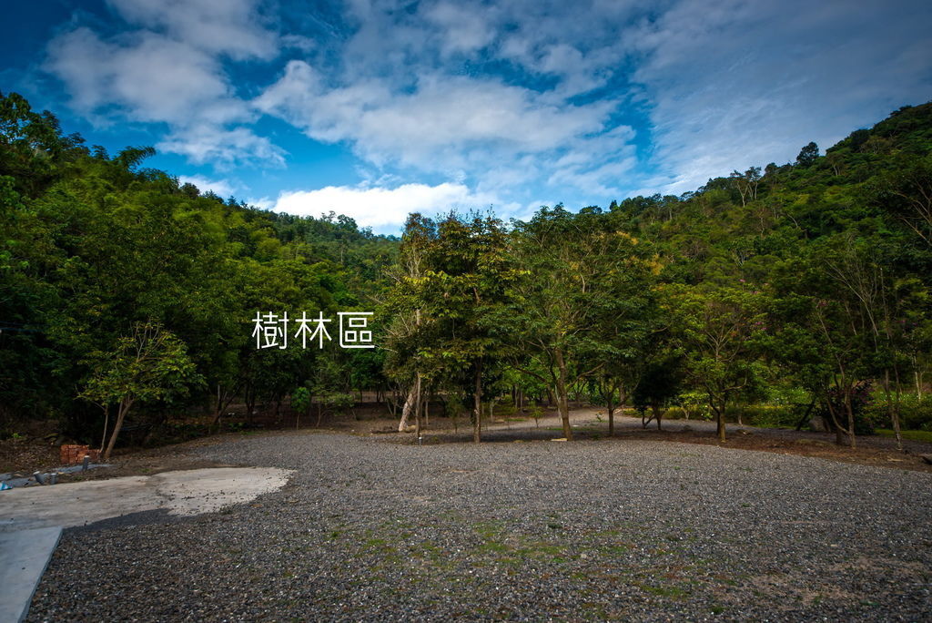 DSC_0424--.jpg DSC_0424--.jpg