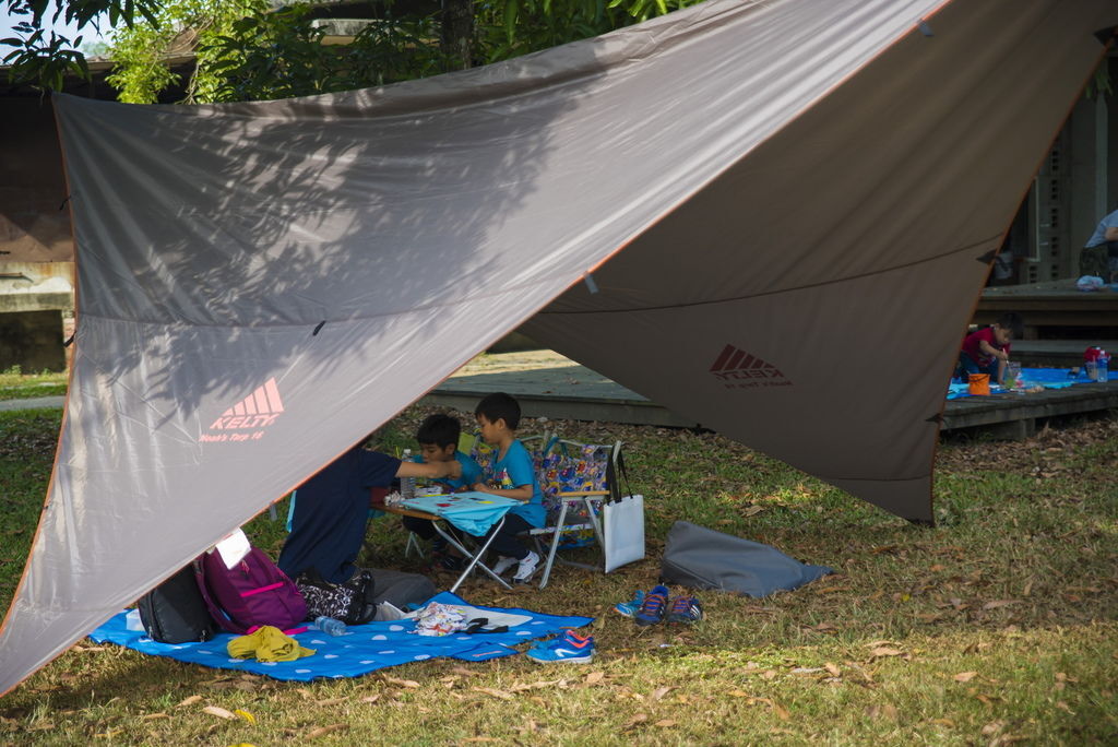 DSC_0447-.jpg DSC_0447-.jpg