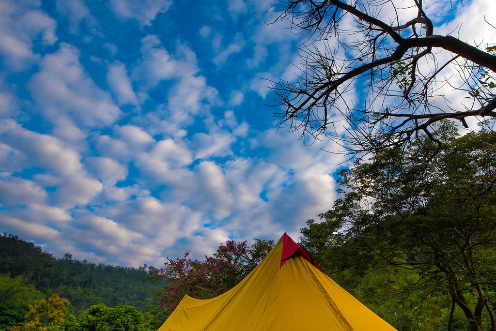 DSC_0329---.jpg DSC_0329---.jpg