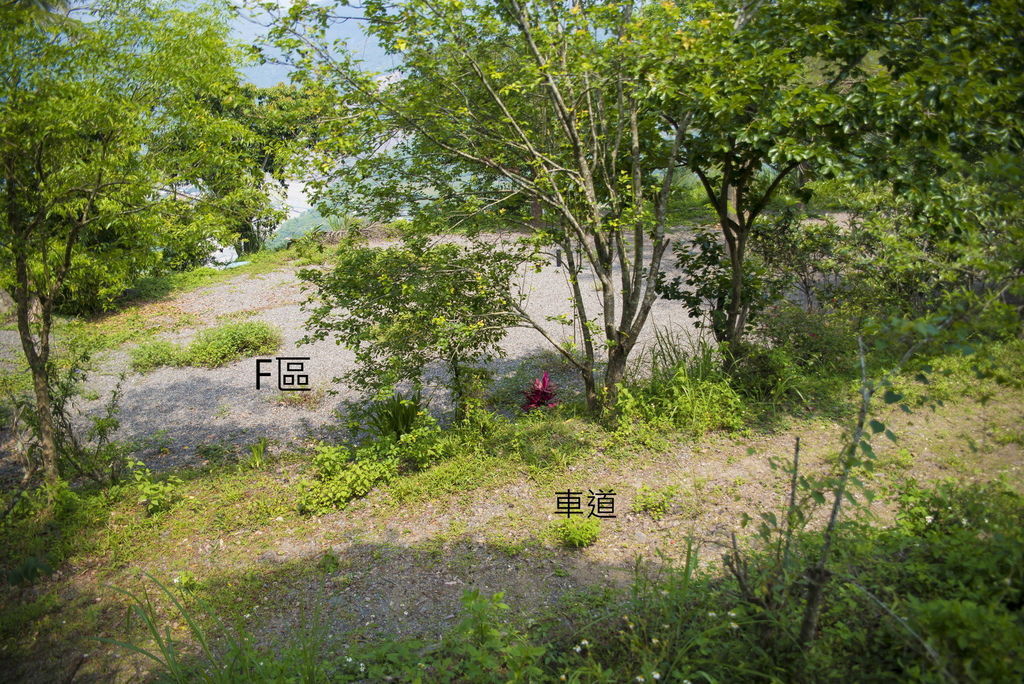 DSC_0819-.jpg DSC_0819-.jpg