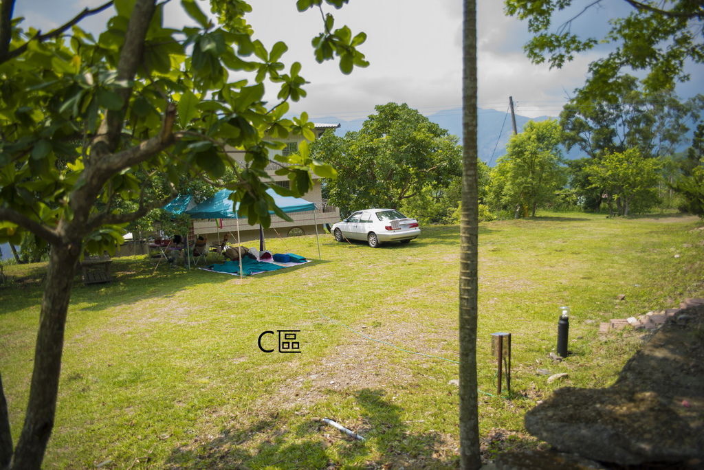 DSC_0855-.jpg DSC_0855-.jpg