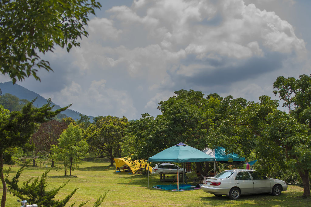 DSC_0849-- DSC_0849--