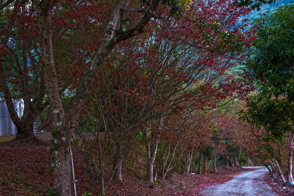 DSC_1622-.jpg DSC_1622-.jpg
