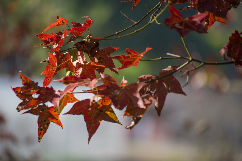 DSC_1708-.jpg DSC_1708-.jpg