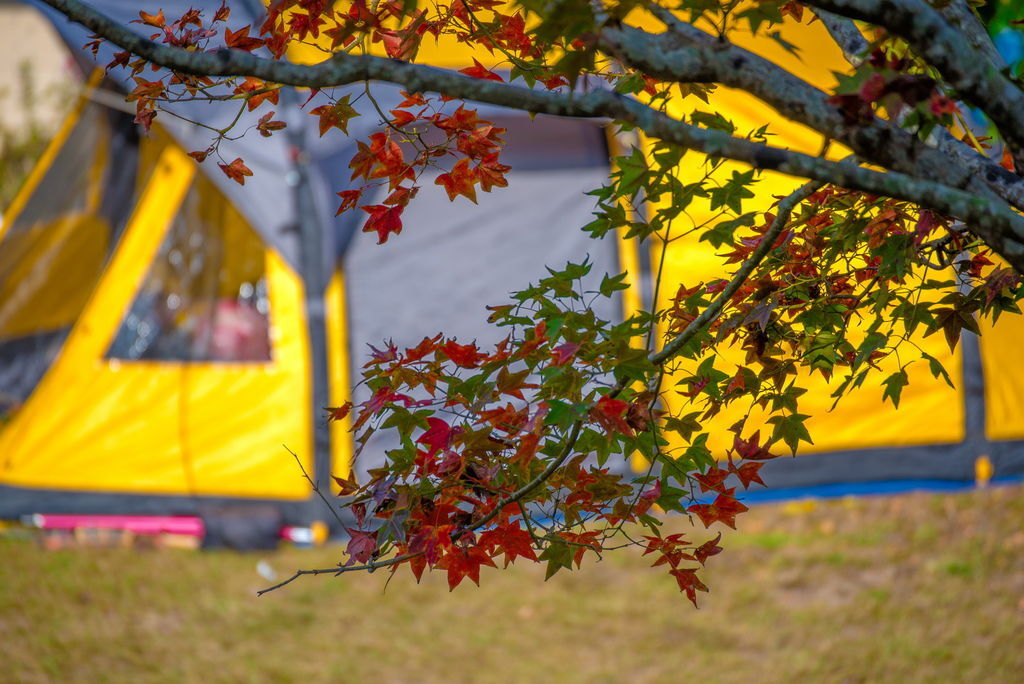 DSC_1731-.jpg DSC_1731-.jpg