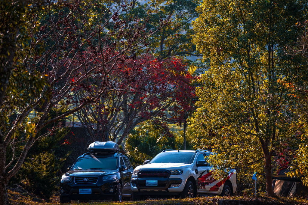 DSC_1722- DSC_1722-