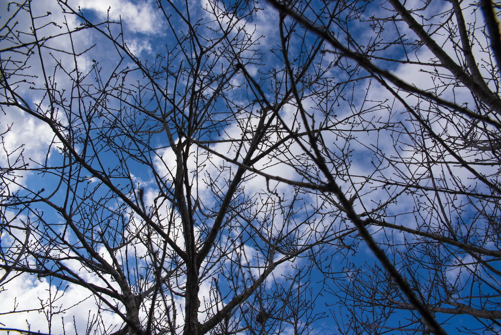 DSC_2651-.jpg DSC_2651-.jpg