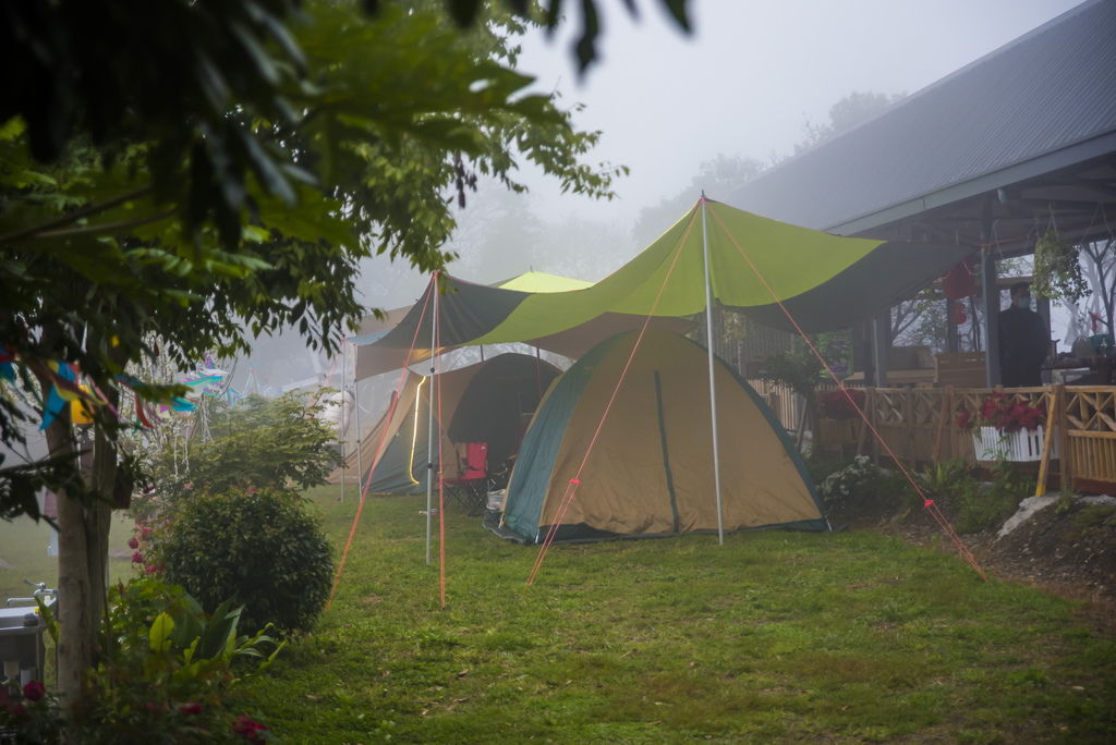 DSC_2909-.jpg DSC_2909-.jpg