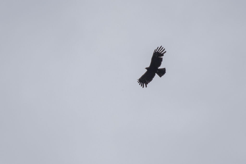 DSC_3826-.jpg DSC_3826-.jpg