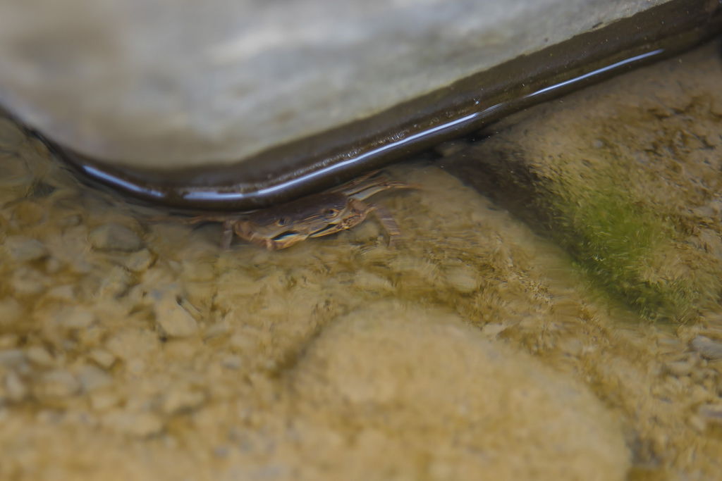 DSC_3867-.jpg DSC_3867-.jpg