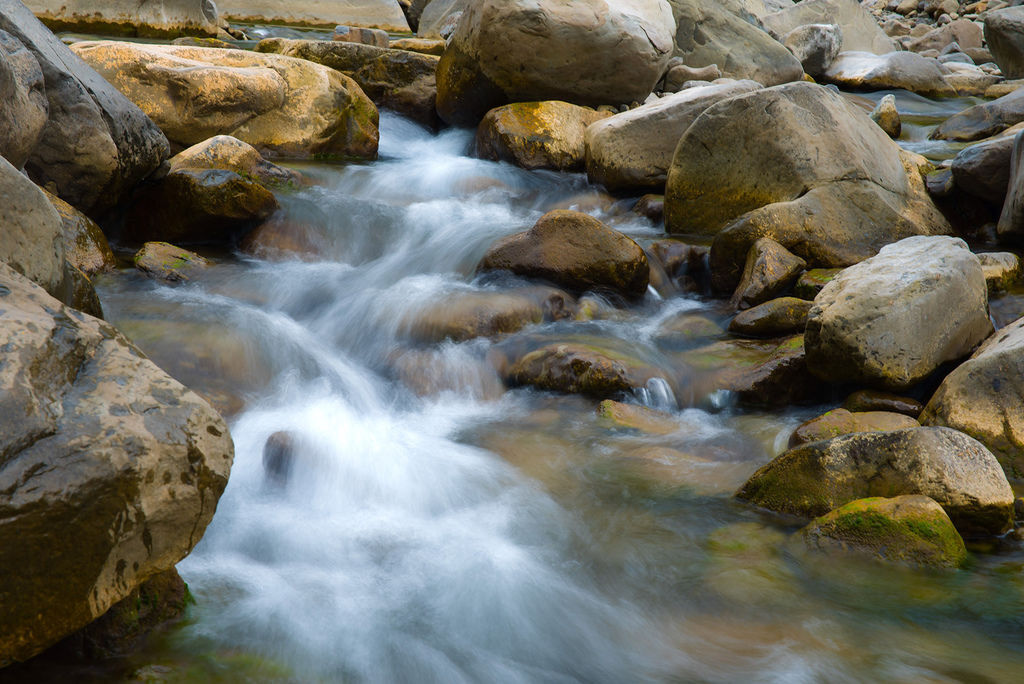 DSC_3905-.jpg DSC_3905-.jpg