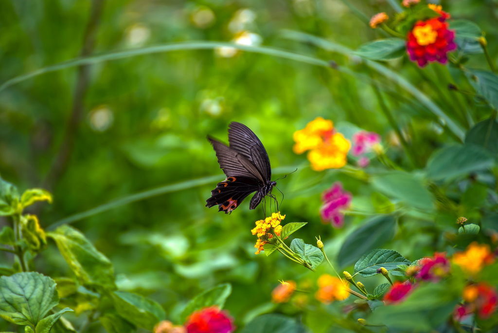 DSC_3835-.jpg DSC_3835-.jpg
