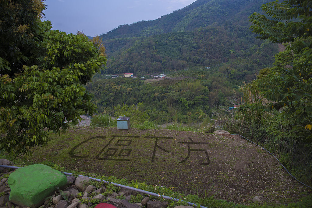 DSC_4317-.jpg DSC_4317-.jpg