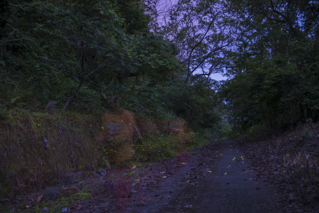 DSC_4254-.jpg DSC_4254-.jpg