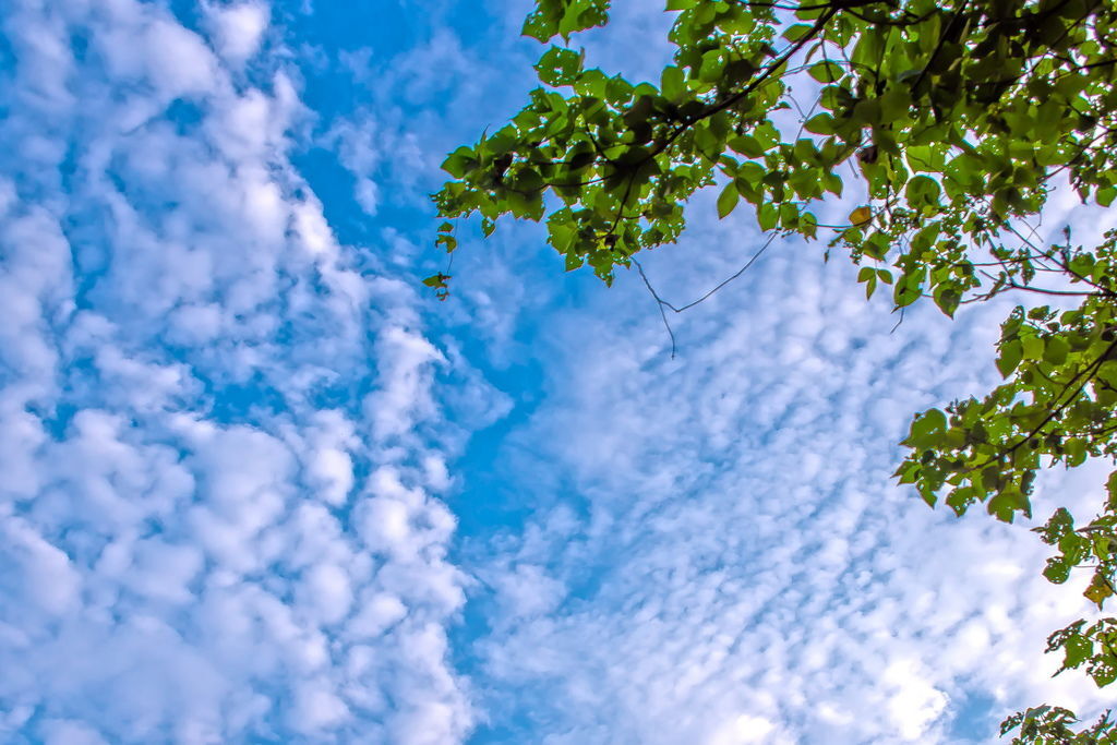 DSC_4326-.jpg DSC_4326-.jpg