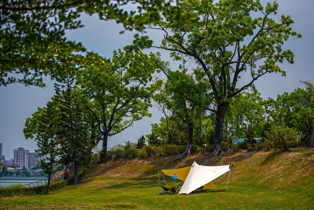 DSC_4593-.jpg DSC_4593-.jpg