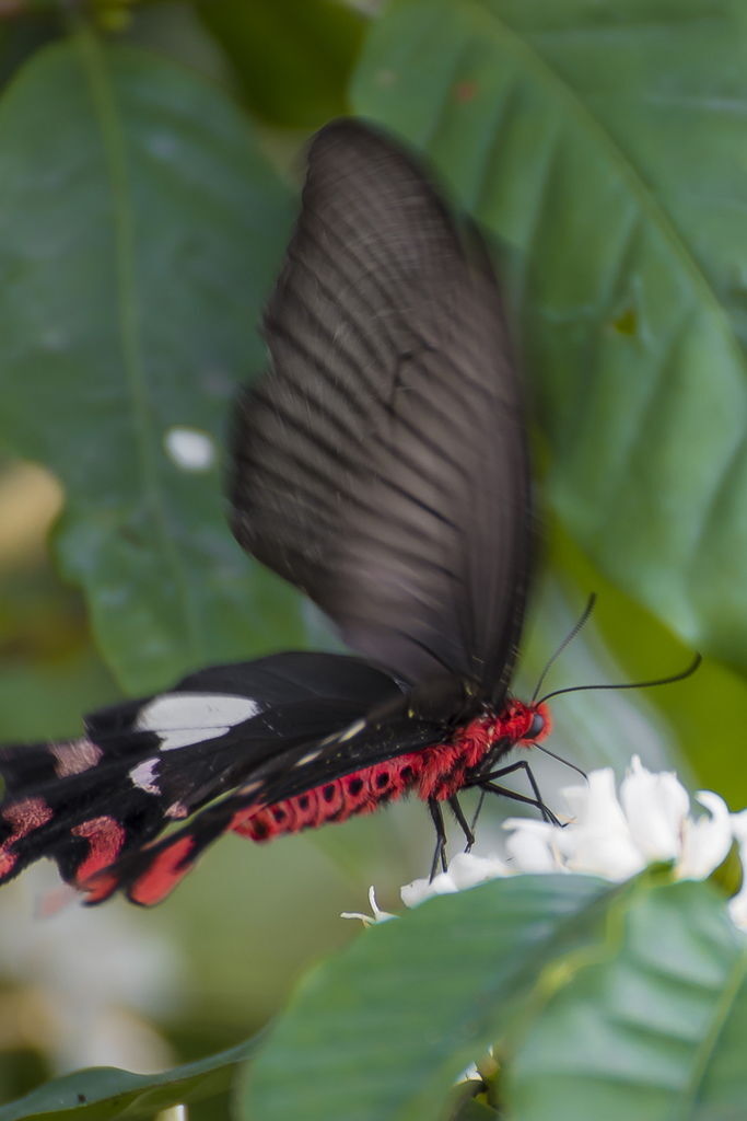 DSC_4791-.jpg DSC_4791-.jpg