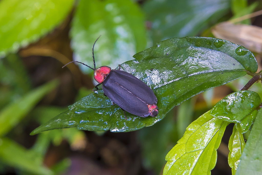 DSC_5064-.jpg DSC_5064-.jpg