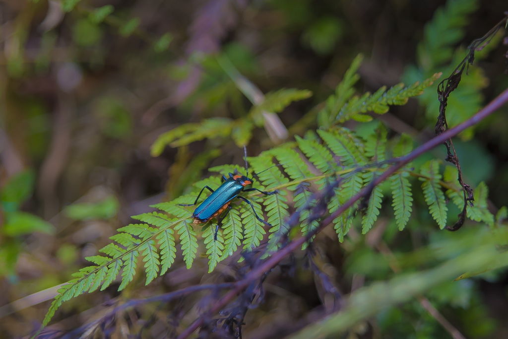 DSC_5071-.jpg DSC_5071-.jpg