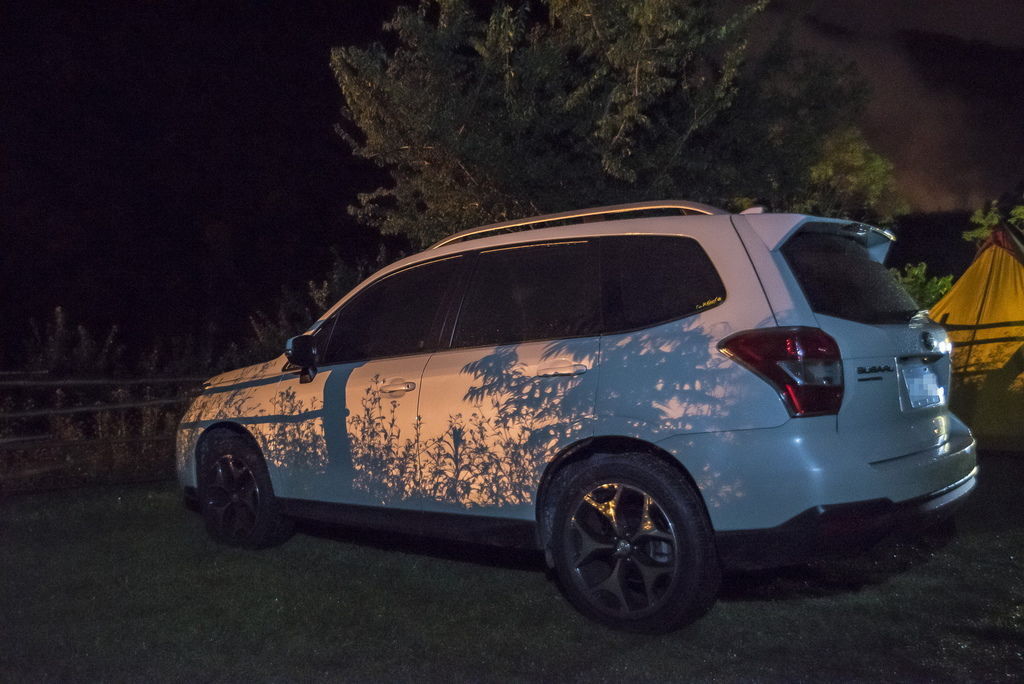 DSC_5980-.jpg DSC_5980-.jpg