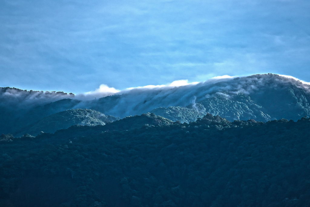 DSC_5991-.jpg DSC_5991-.jpg