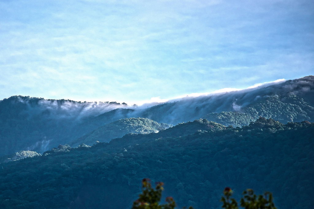 DSC_5992-.jpg DSC_5992-.jpg