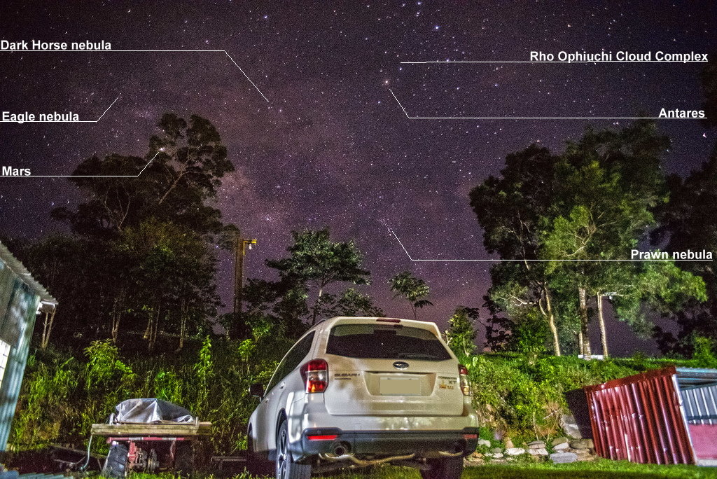 forester- forester-
