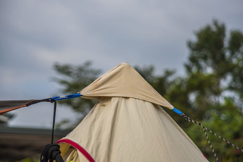 DSC_7198-.jpg DSC_7198-.jpg