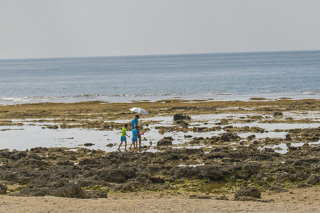 DSC_0016-.jpg DSC_0016-.jpg