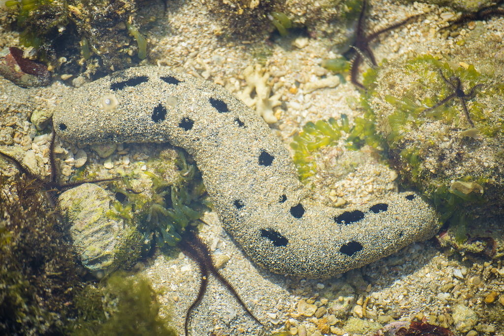 DSC_0039-.jpg DSC_0039-.jpg