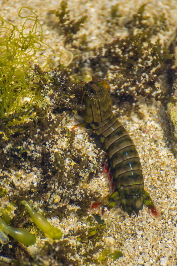 DSC_0045-.jpg DSC_0045-.jpg
