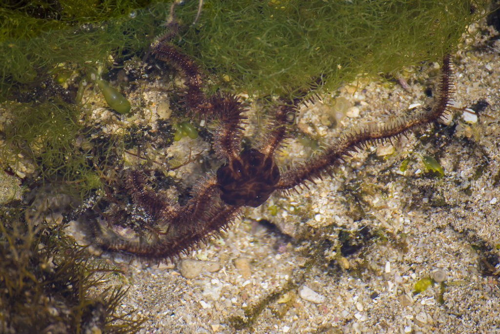 DSC_0047-.jpg DSC_0047-.jpg