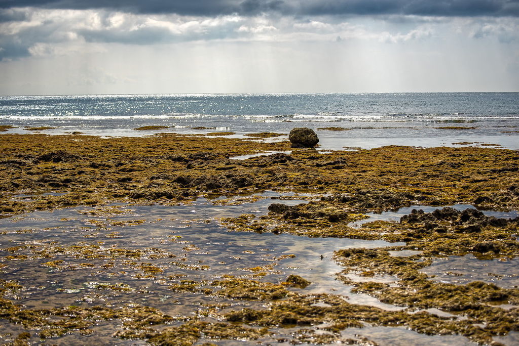 DSC_0049-.jpg DSC_0049-.jpg